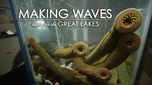 Making Waves