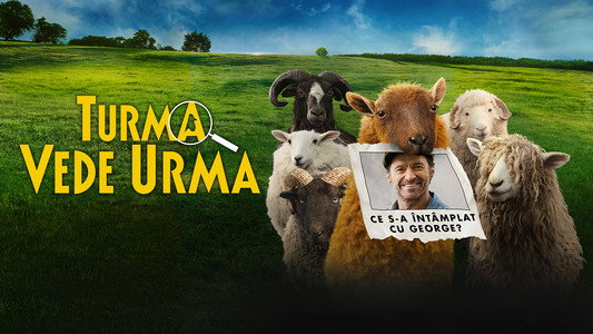 The Sheep Detectives
