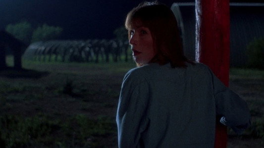 The Texas Chainsaw Massacre Part 2
