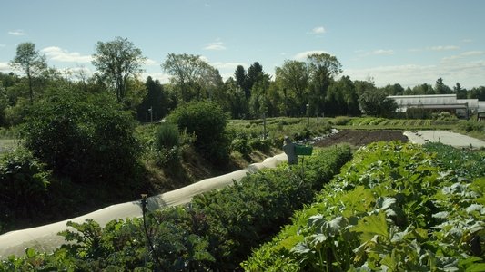 La ferme et son état