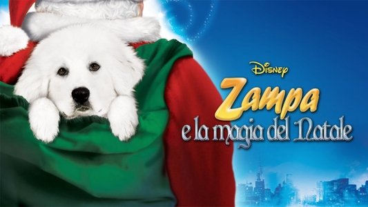 The Search for Santa Paws