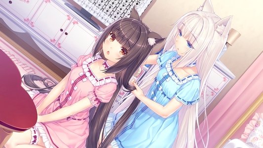 ネコぱら