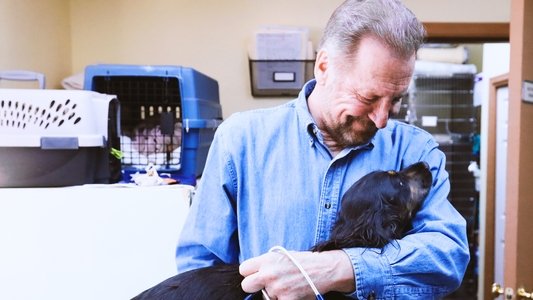The Wild Life of Dr. Ole