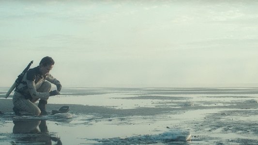 Tides