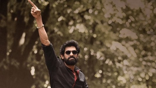 భీమ్లా నాయక్‌