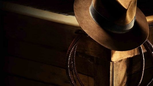 Indiana Jones : à la poursuite d’une icône