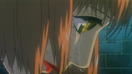 メゾフォルテ