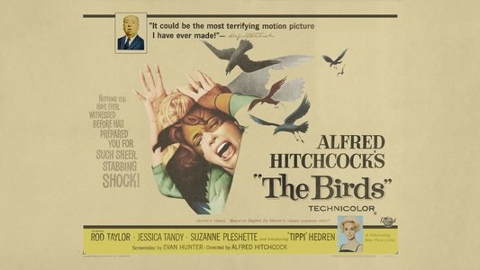 The Birds