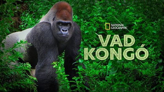 Wild Congo