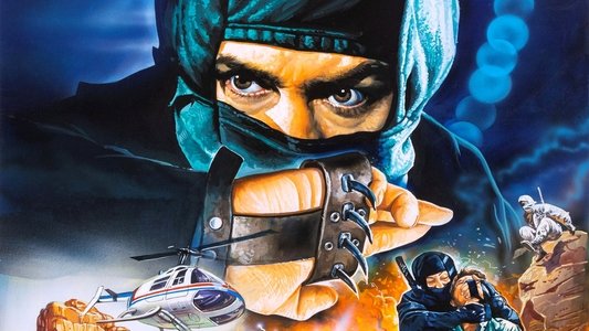 Force of the Ninja