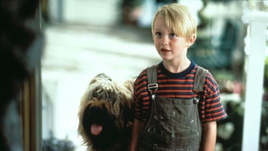 Dennis the Menace