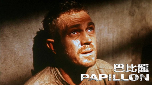 Papillon
