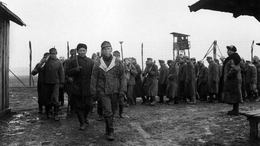 Der Arzt von Stalingrad