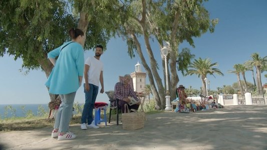 الغادي