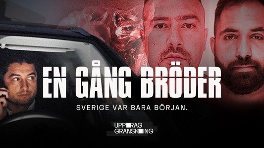 Uppdrag Granskning : En gång bröder