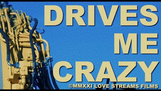 Drives Me Crazy