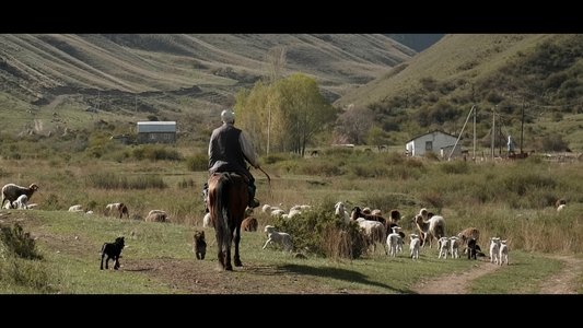 Wings of Kyrgyzstan