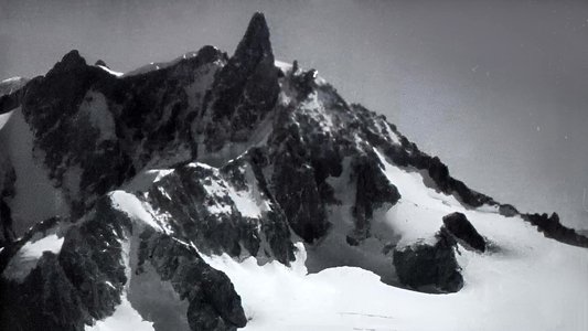 Tant Que Nous L'Aimerons