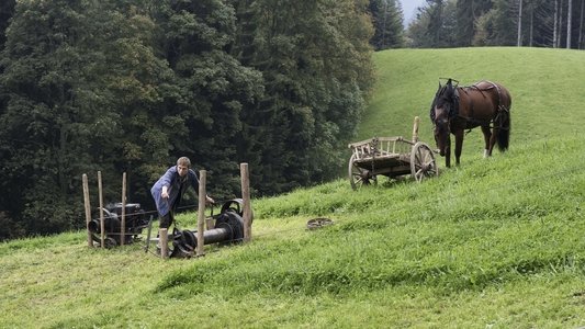Der Verdingbub