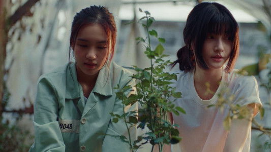 คลั่ง/รัก/นักโทษ