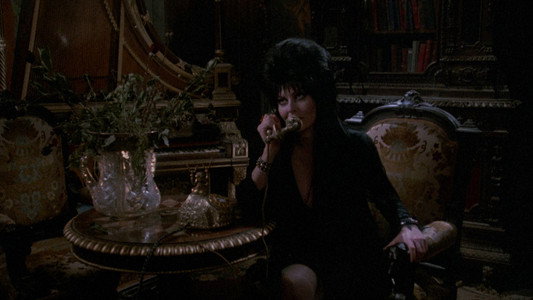 Elvira: Mistress of the Dark