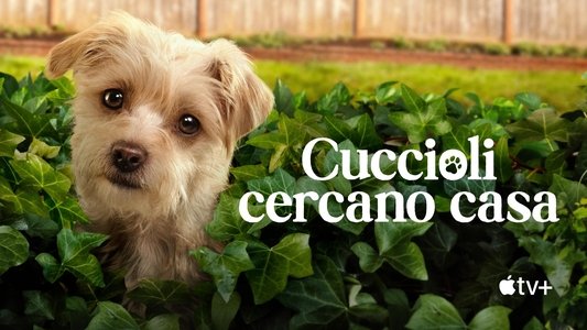 Puppy Place