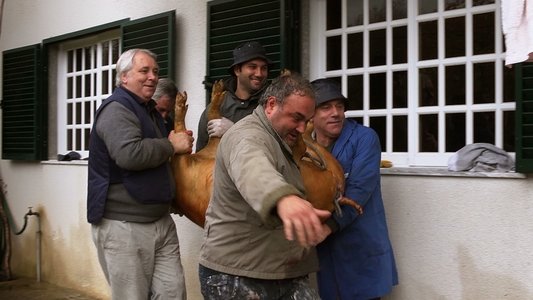 Raul Brandão era um grande escritor...