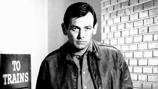 The Fugitive