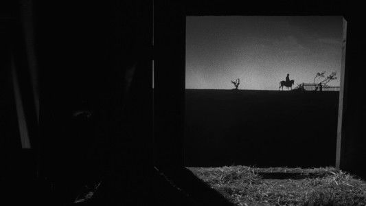 The Night of the Hunter