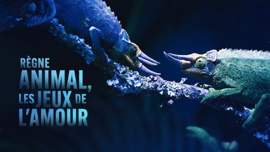 Règne animal, les jeux de l'amour