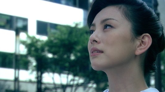 黒革の手帖