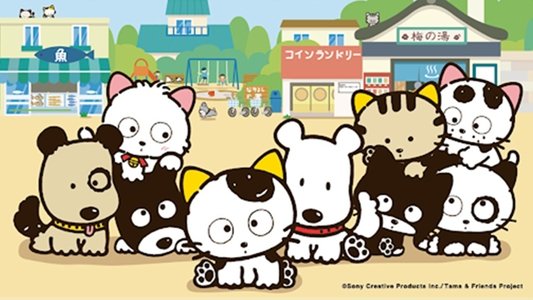3丁目のタマ うちのタマ知りませんか？