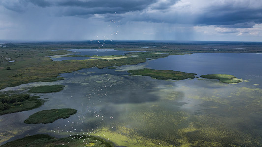 Delta Sălbatică