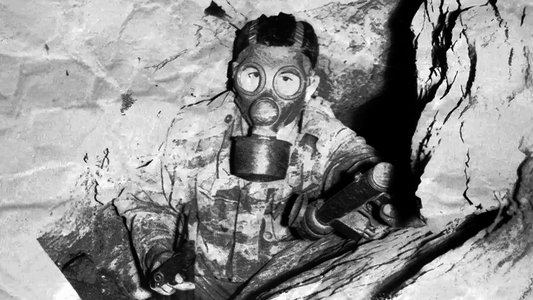 Algérie, Sections Armes Spéciales