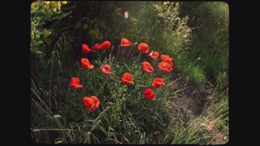 Le Fil rouge