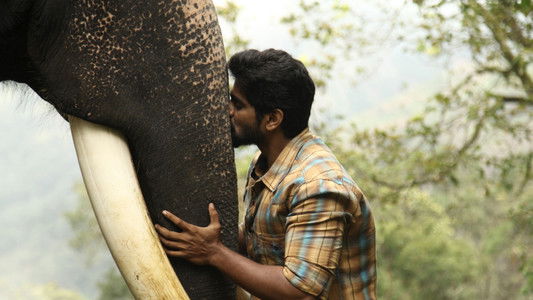 கும்கி 2