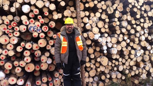 On n'est pas sorti du bois!