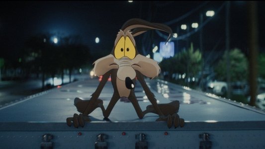 Coyote vs. Acme