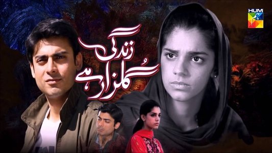 زندگی گلزار ہے