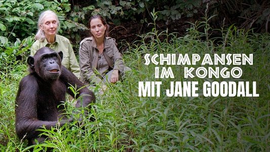 Rescued Chimpanzees of the Congo with Jane Goodall