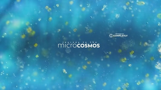 Journey to the Microcosmos
