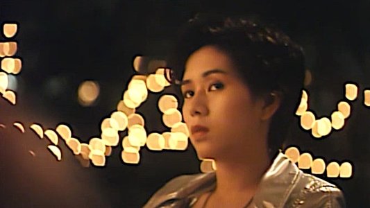 机密档案实录火蝴蝶