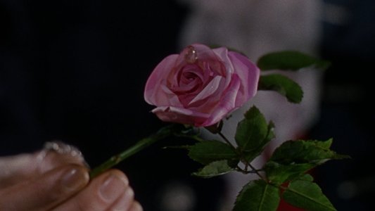 A Matter of Life and Death