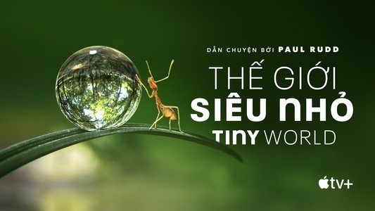 Tiny World