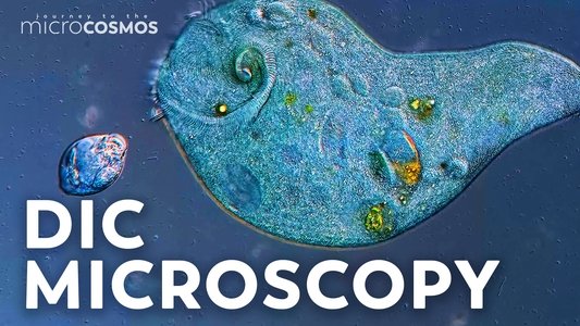 Journey to the Microcosmos