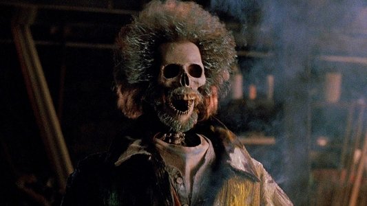 Home Alone 2: Lost in New York