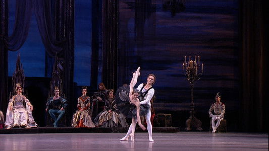 Tchaikovsky - Swan Lake (The Bolshoi Ballet Collection)