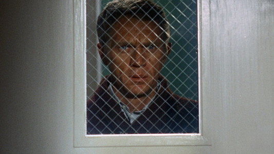 Bullitt