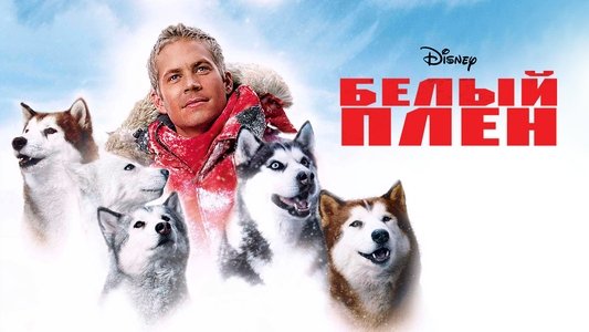Eight Below