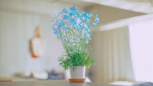 恋愛ルビの正しいふりかた